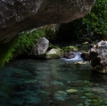 ArditaGiulia_Natura&Paesaggio_02