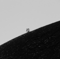 MINIMAL_graziamus_ (1)