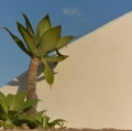 gianfranco_consiglio_minimal02